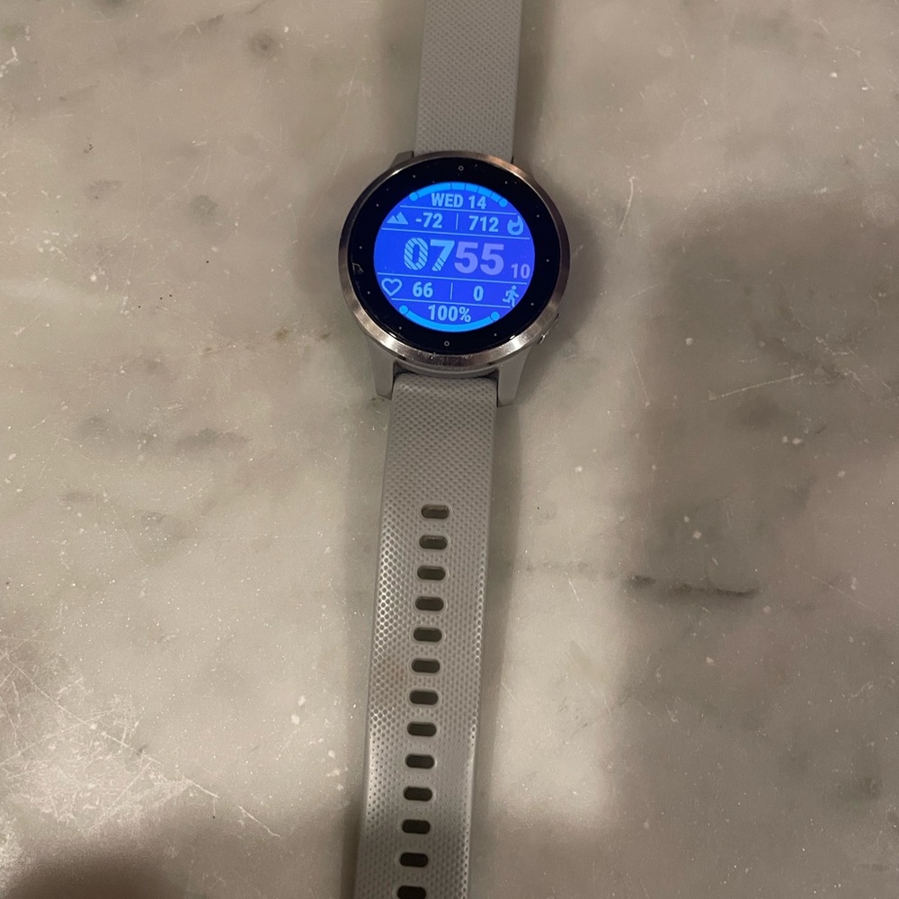 Garmin Smartwatch with Gray Band